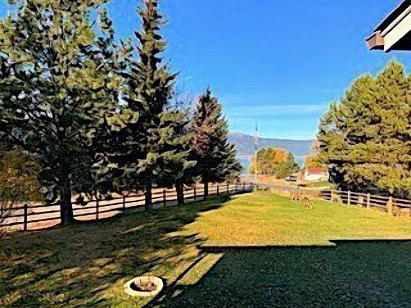 Photo 46