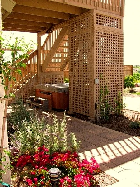 Photo 41