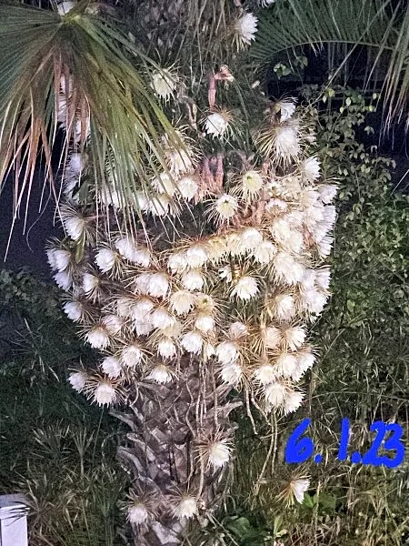 Photo 34