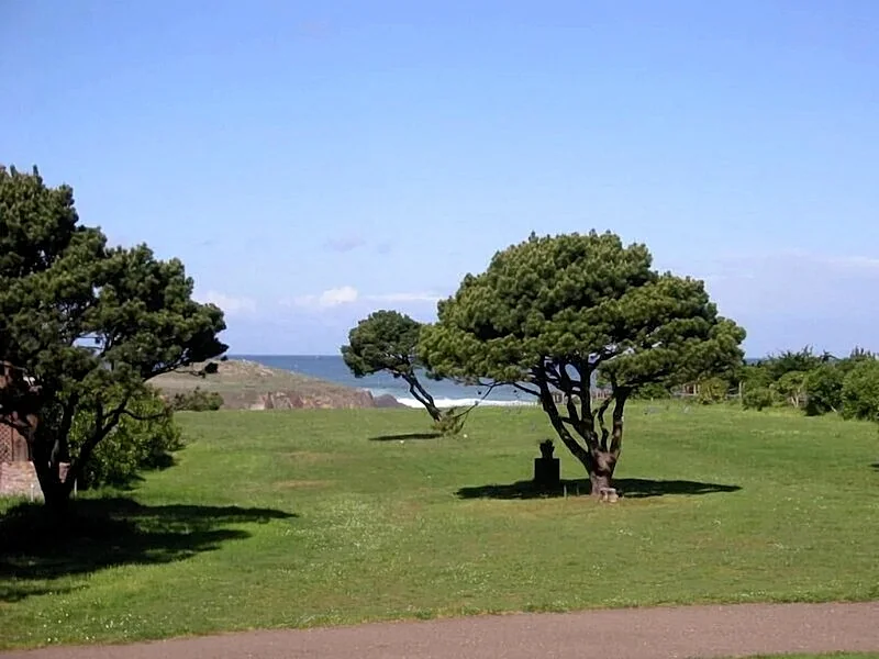 Photo 18