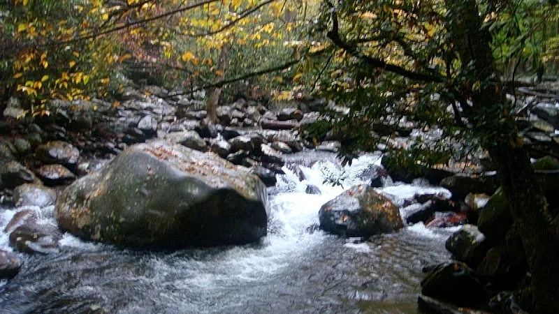 Photo 42