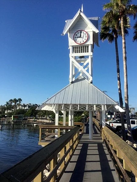 Photo 28