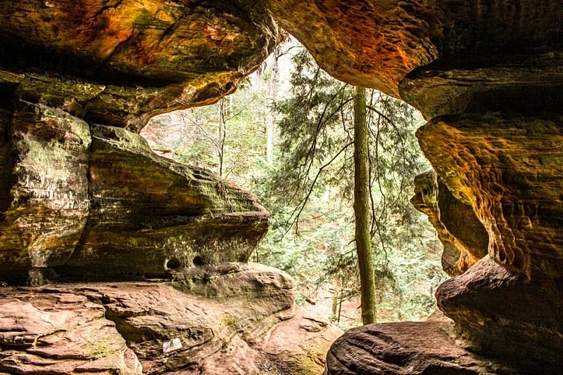 Photo 33