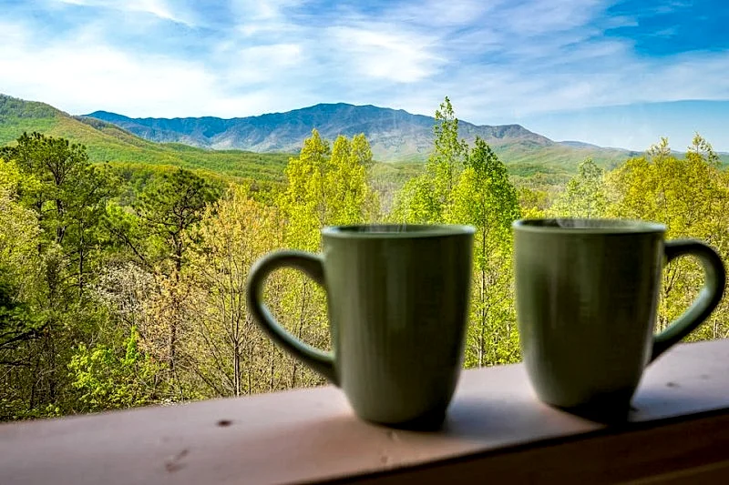Bearded Bear Lodge, Pet Friendly, Mountain Views