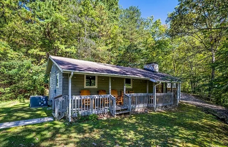 The Backyard Bear Rustic Cabin: Firepit, Wood Fireplace