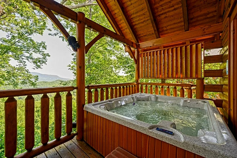 BearSlide Inn: Free Attractions, Dog-friendly, Hot Tub, Grill