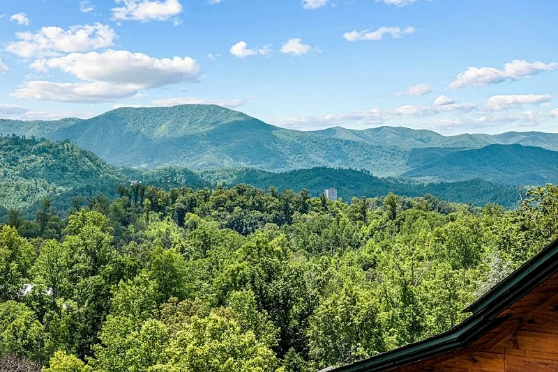 Photo 80