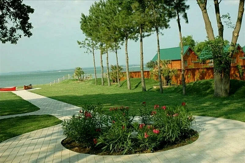 Photo 22