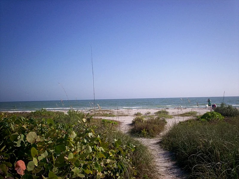 Photo 33