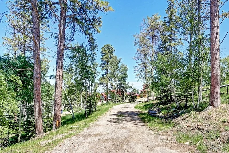 Photo 41