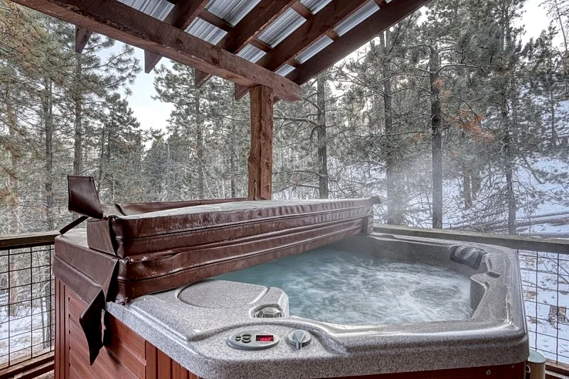 Gold Rush Lodge - Private setting, Clubhouse with outdoor pool! Wifi