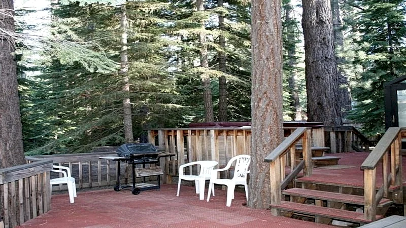 Photo 11