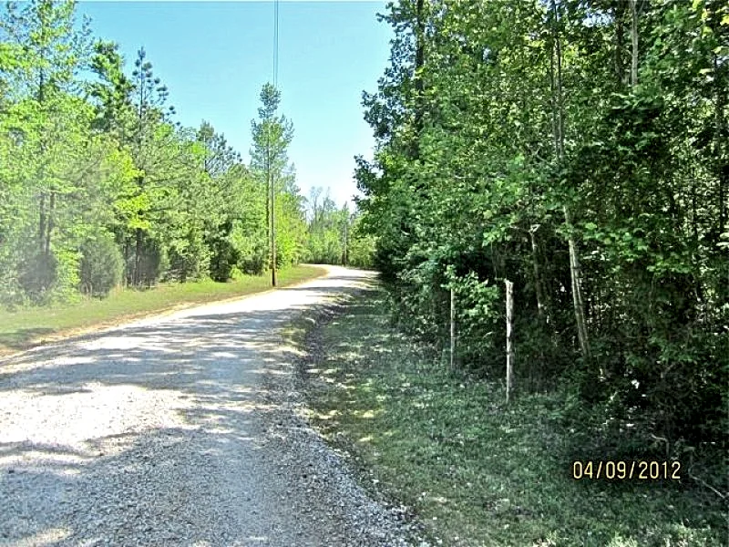 Photo 20