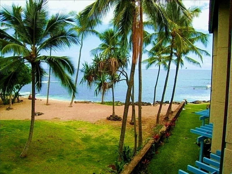 Kona Reef Condo on Beach with Ocean View, Wifi, King bed & Elevator