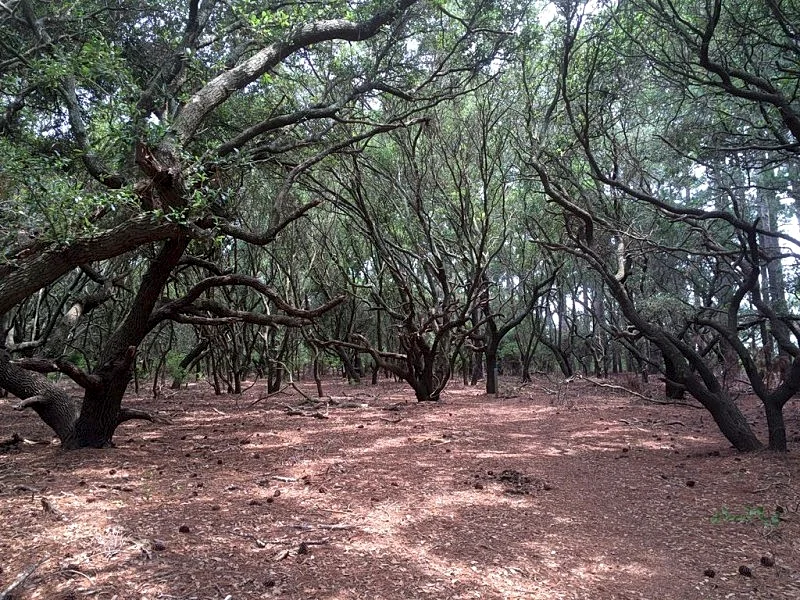 Photo 25