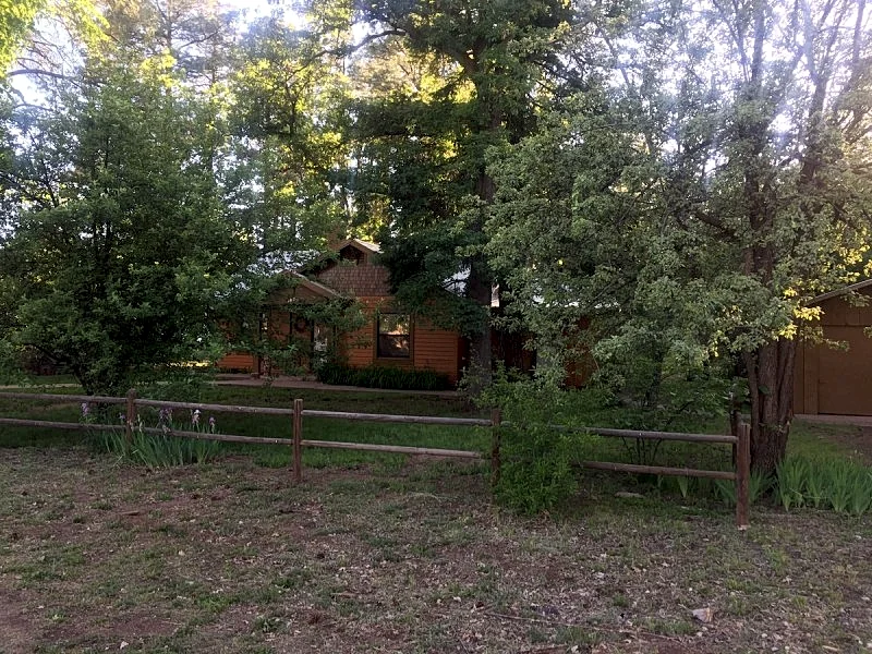 Photo 7
