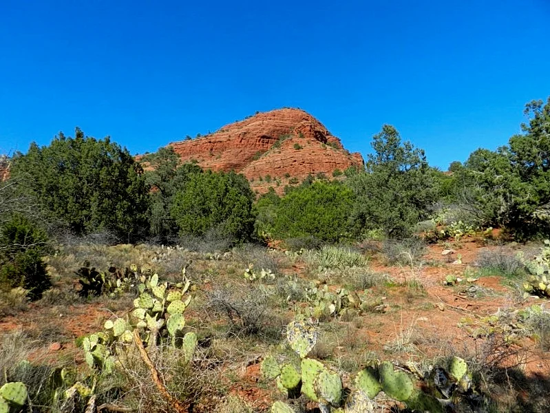 Photo 21