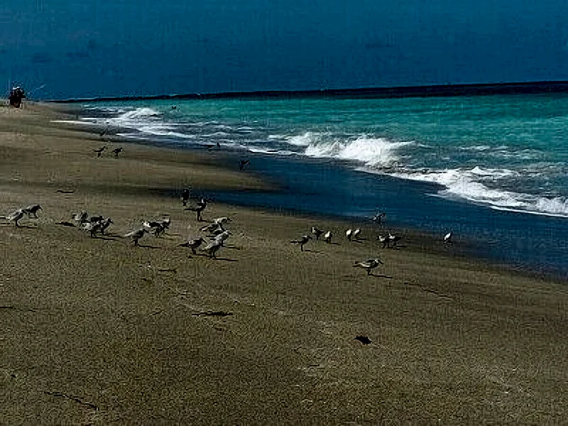 Ocean Village- CP 724.Beach, Golf, Tennis, or Relaxing