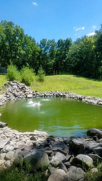 Photo 15