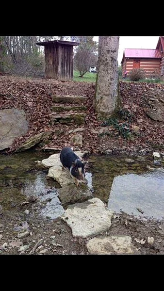 Photo 24