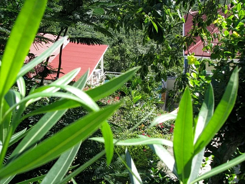 Photo 21