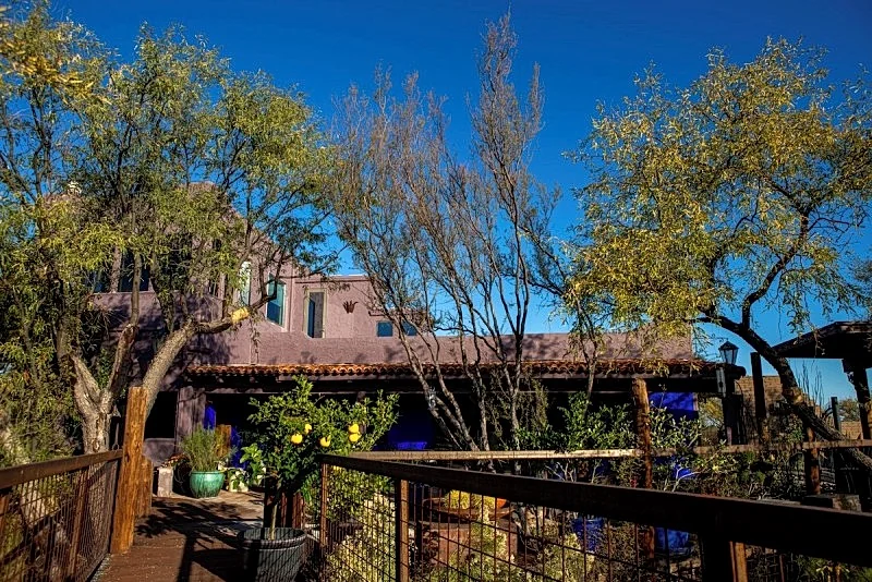 Photo 5