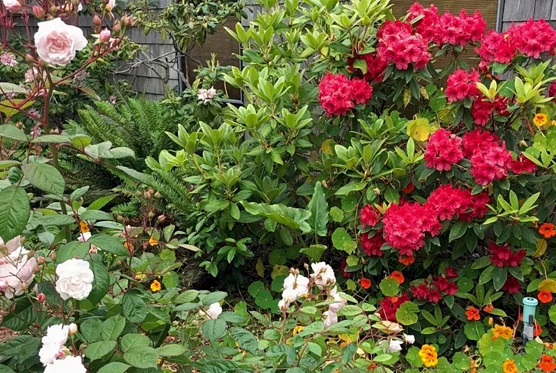 Photo 32