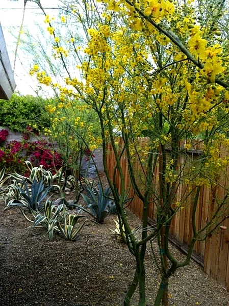 Photo 44