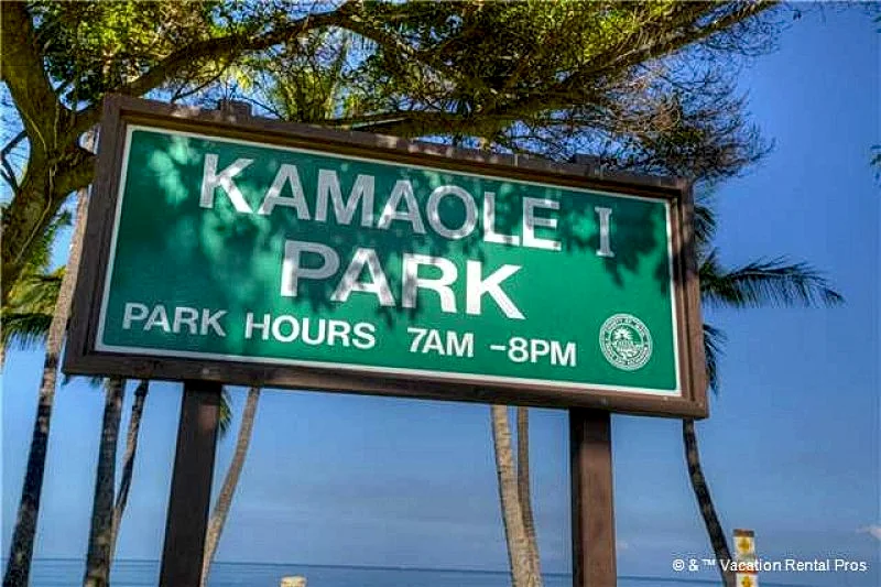 Photo 39
