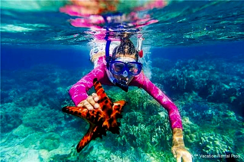 Photo 33