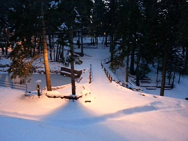 Photo 5
