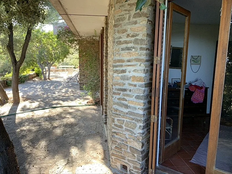 Photo 17