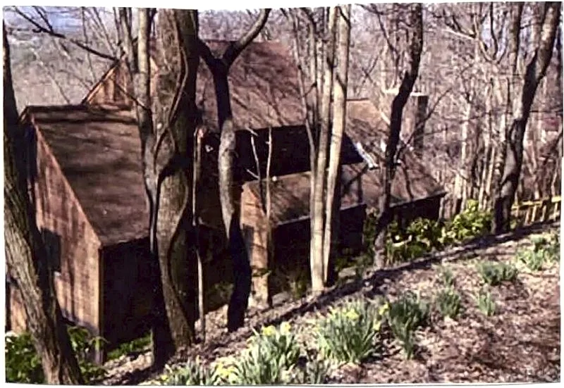 Photo 11