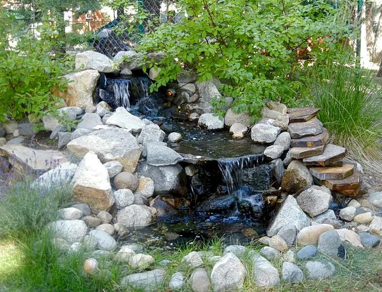 Photo 4