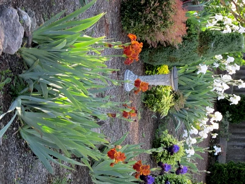 Photo 3