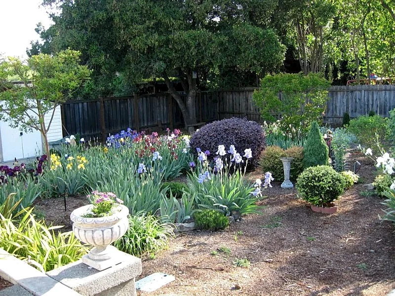 Photo 4