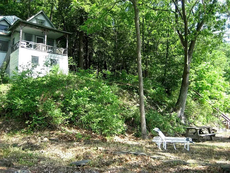 Photo 4