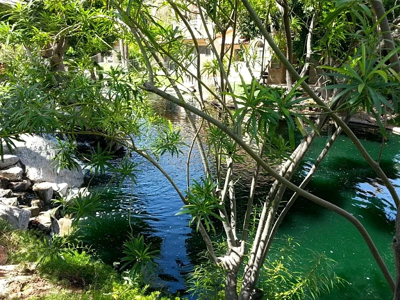 Photo 31