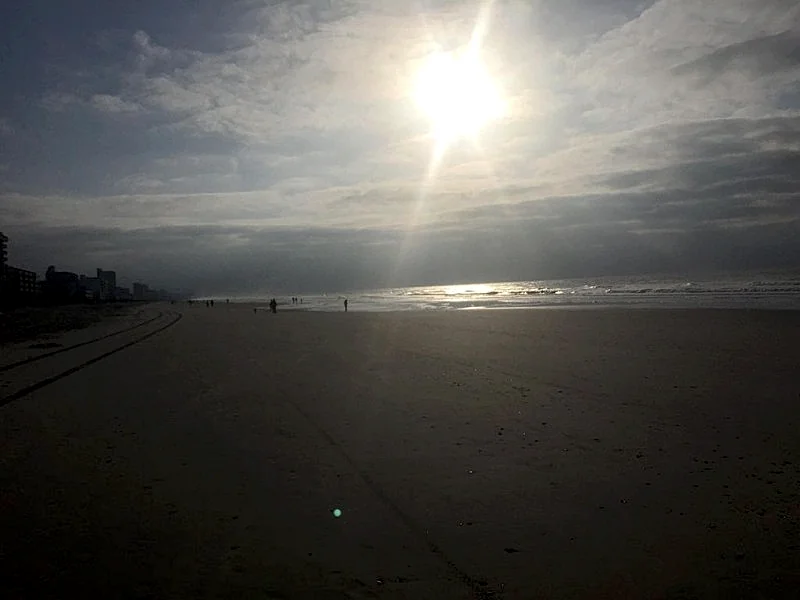 Photo 31