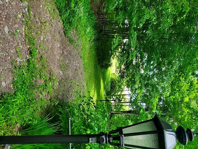 Photo 35