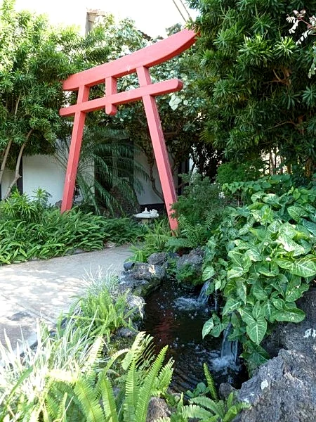 Photo 21