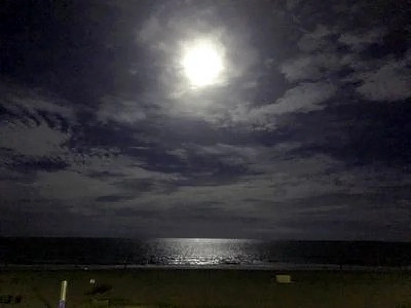 Photo 35