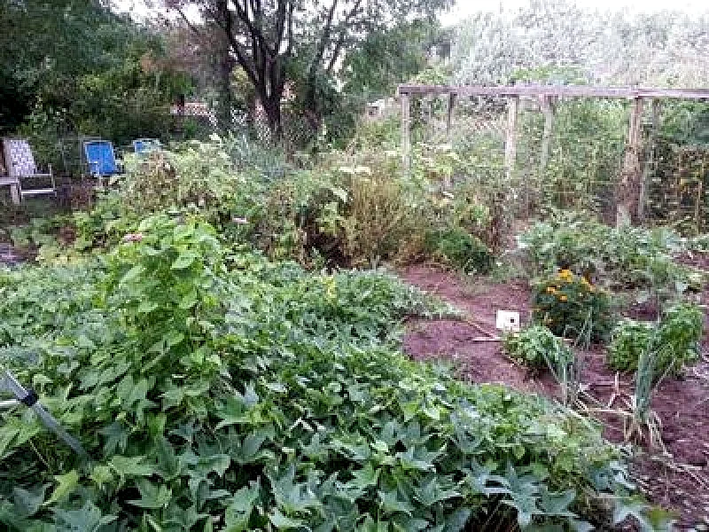 Photo 16