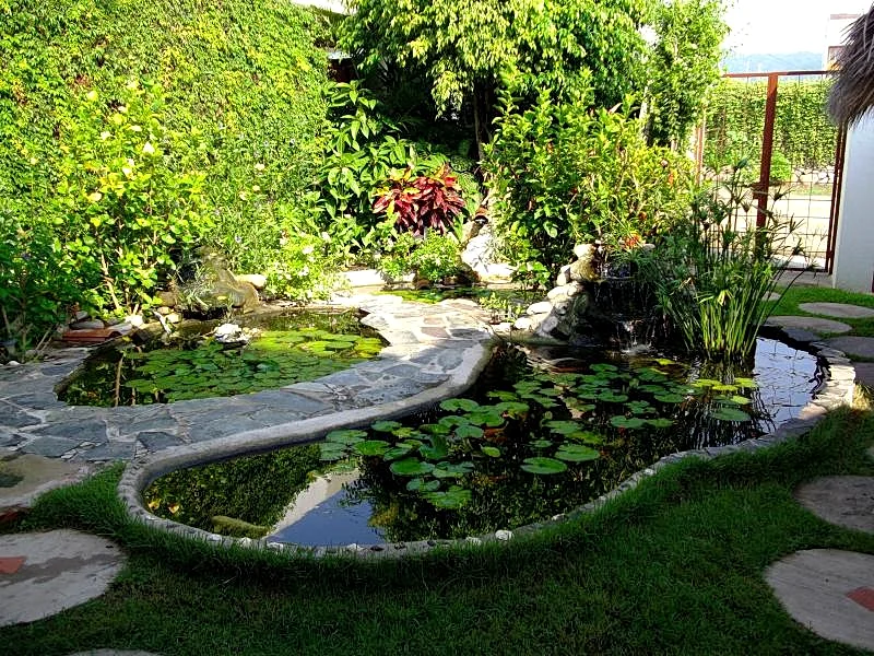 Photo 15
