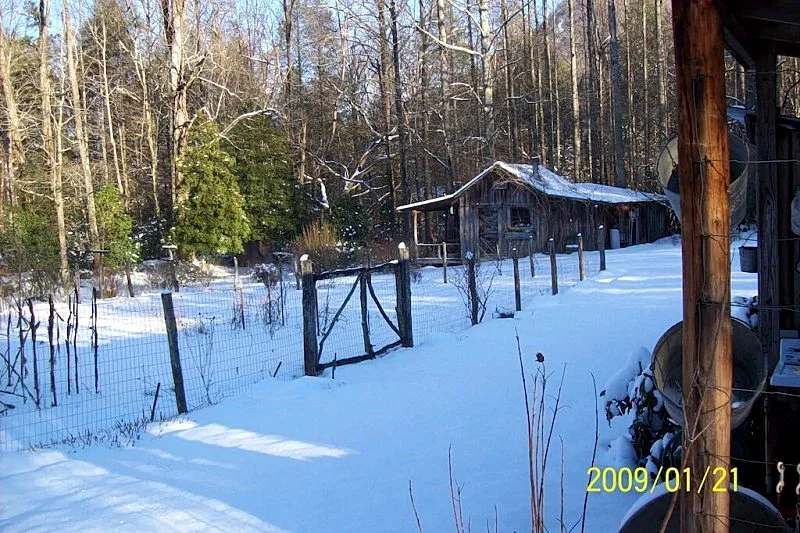 Photo 21