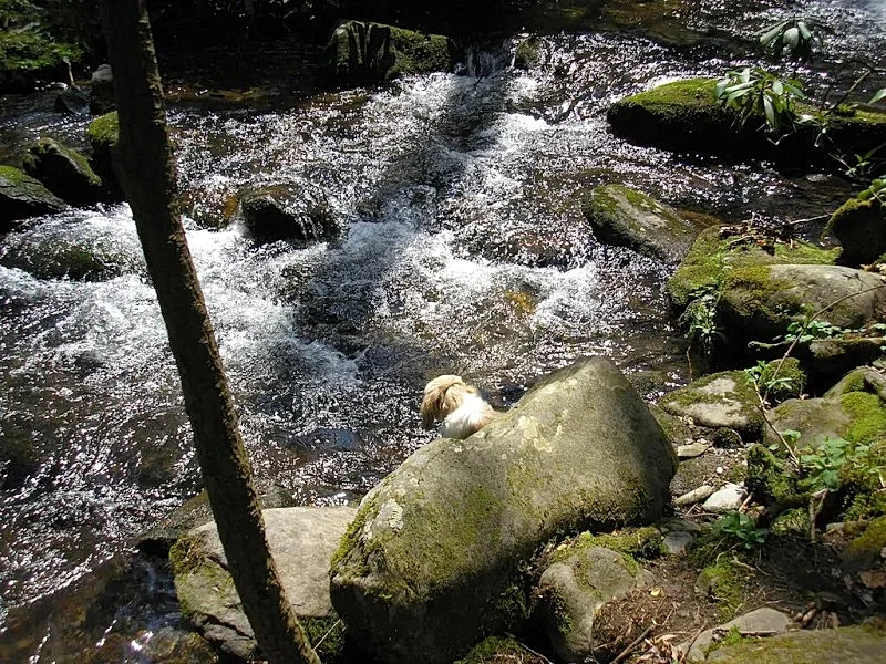 Photo 13