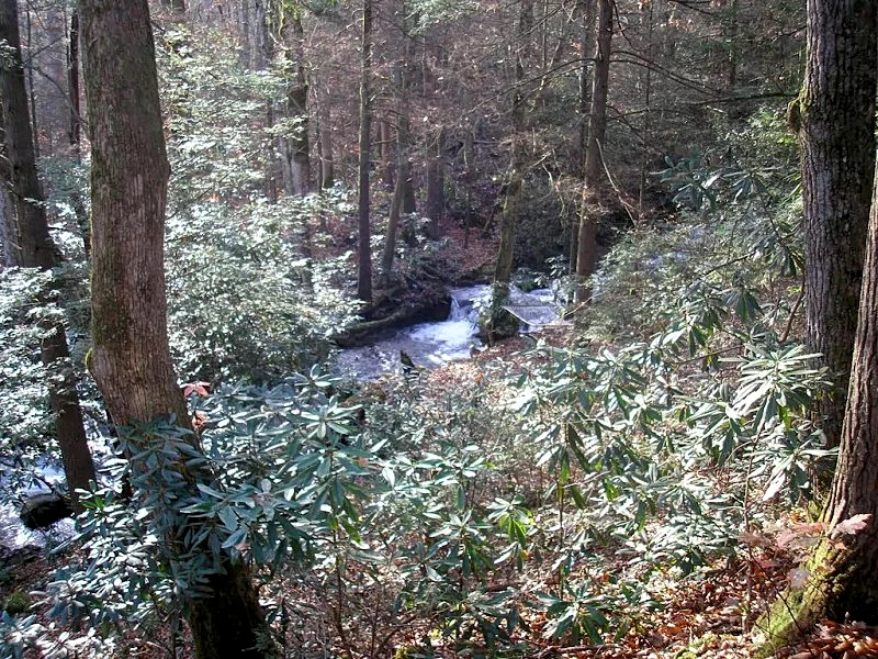 Photo 11