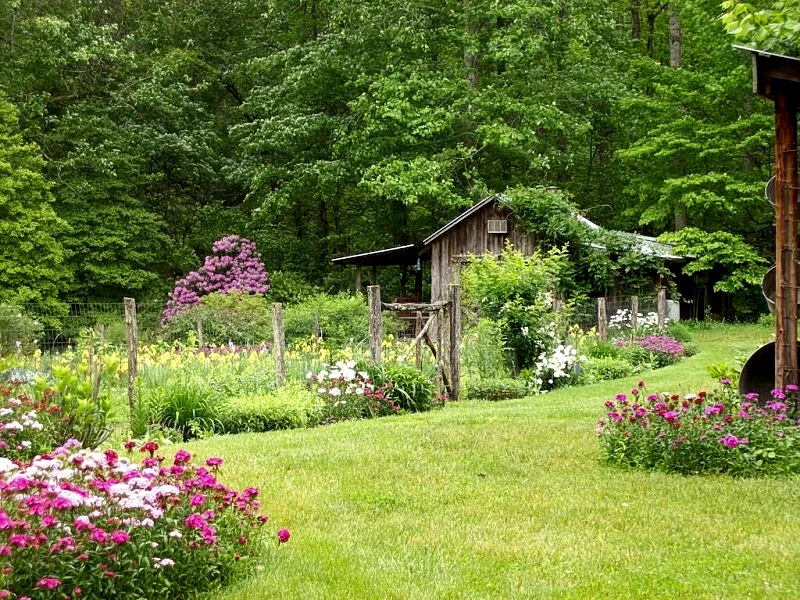 Photo 7