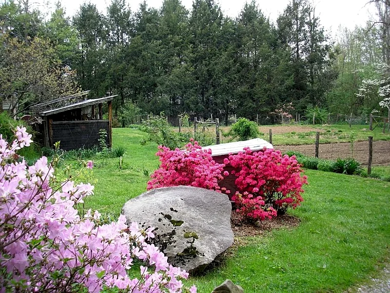 Photo 20