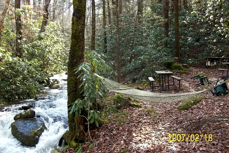 Photo 11